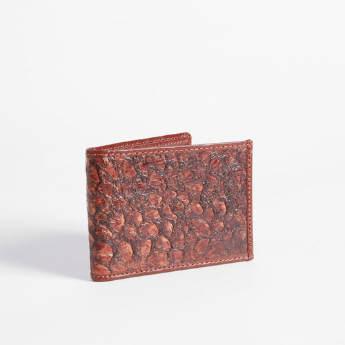 Cartera Fast Eddy Barramundi