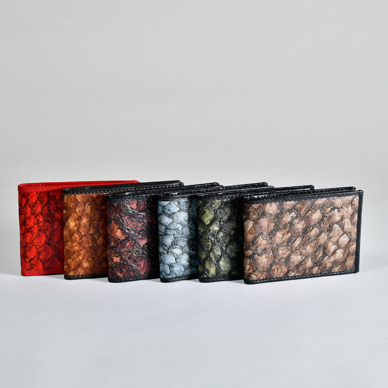 Cartera Fast Eddy Barramundi