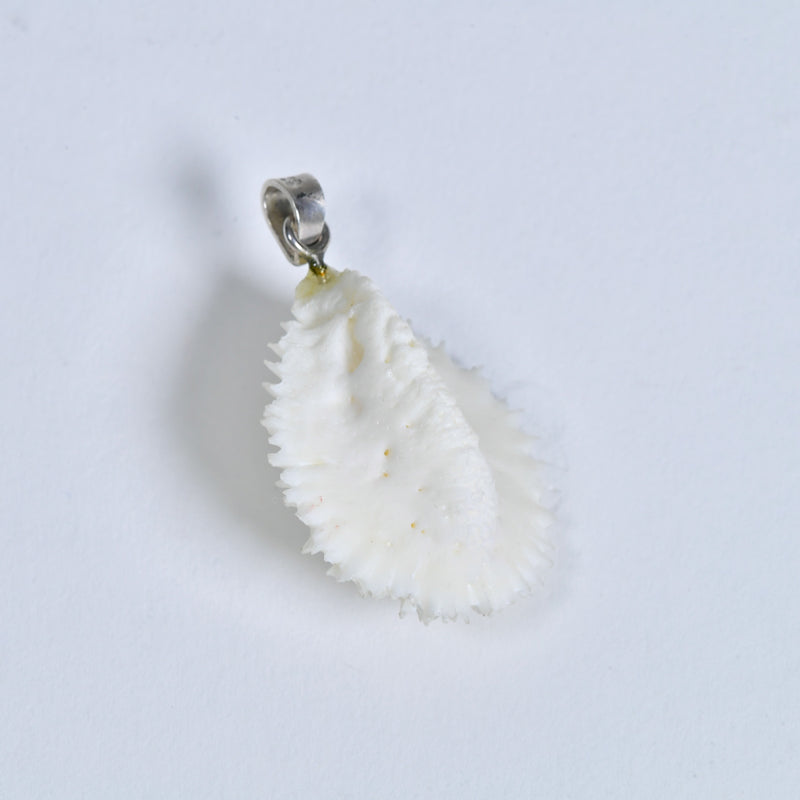 Crocodile Osteoderm Pendant