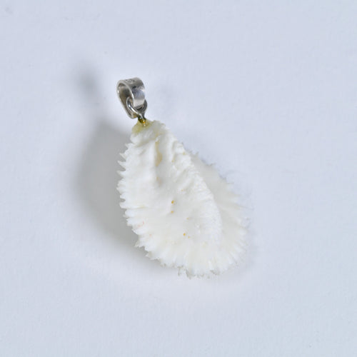 Crocodile Osteoderm Pendant