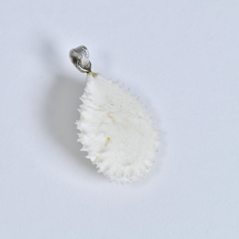 Crocodile Osteoderm Pendant