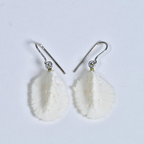 Crocodile Osteoderm Earrings