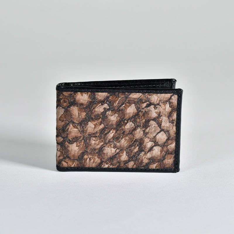 Cartera Fast Eddy Barramundi