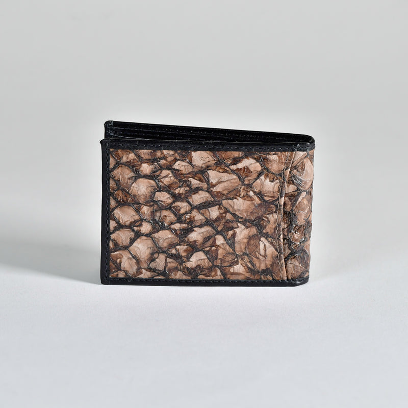 Cartera Fast Eddy Barramundi