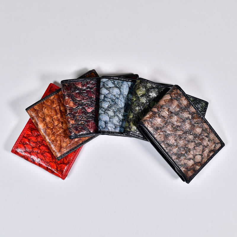 Cartera Fast Eddy Barramundi
