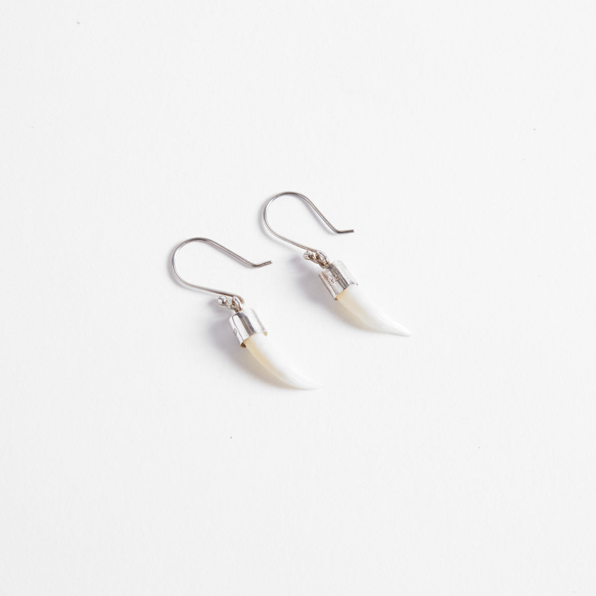 Crocodile Tooth Earrings