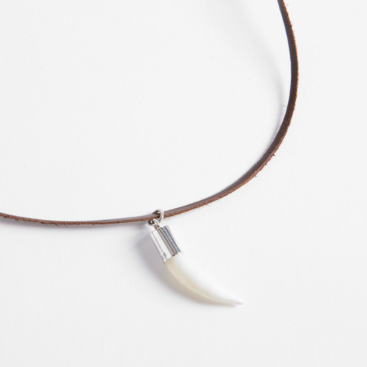 Crocodile Tooth Necklace