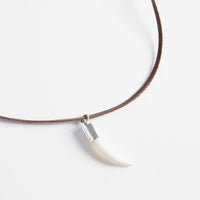 Crocodile Tooth Necklace