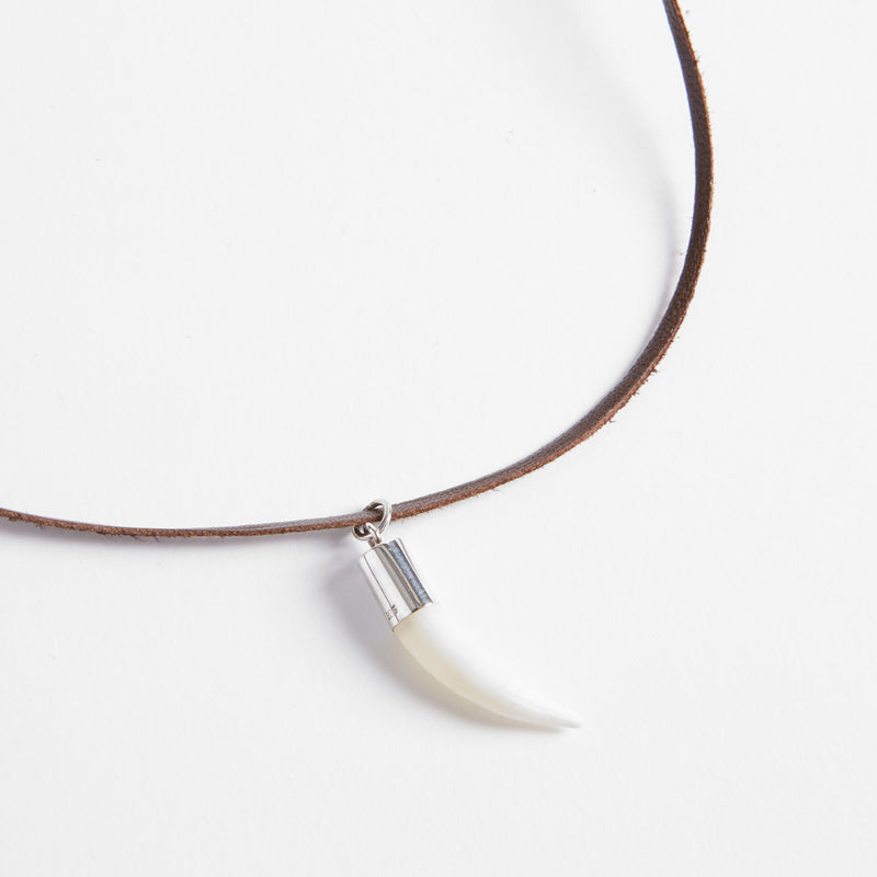 Crocodile Tooth Necklace